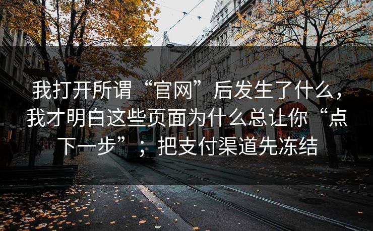 我打开所谓“官网”后发生了什么,我才明白这些页面为什么总让你“点下一步”;把支付渠道先冻结 我打开所谓“官网”后发生了什么,我才明白这些页面为什么总让你“点下一步”;把支付渠道先冻结