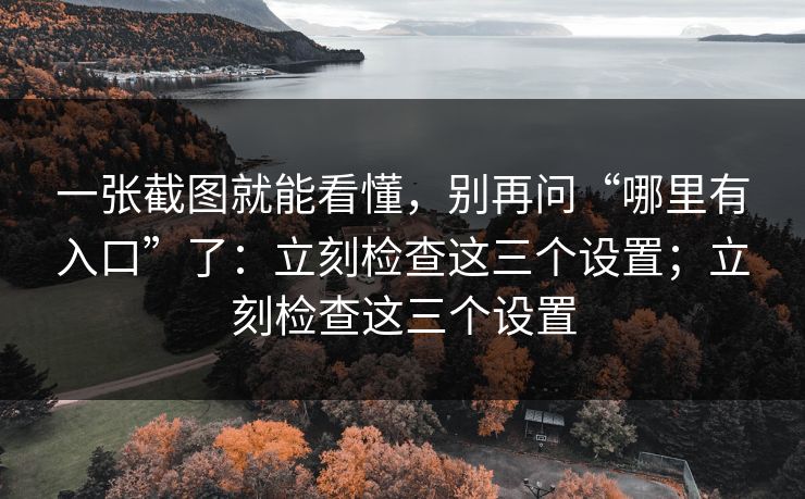 一张截图就能看懂，别再问“哪里有入口”了：立刻检查这三个设置；立刻检查这三个设置