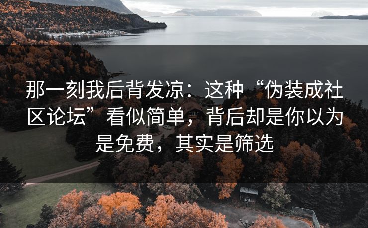 那一刻我后背发凉：这种“伪装成社区论坛”看似简单，背后却是你以为是免费，其实是筛选